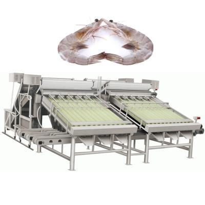 China 1Ton-5 Ton Fish/camarón/pescados de la niveladora del camarón que clasifican MachineHigh que clasifica la lavadora del camarón de la exactitud en venta