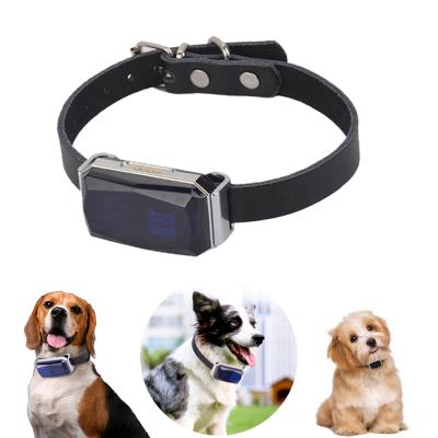 China Strap Design Worlds Smallest Portable GPS/GSM/GPRS Animal Tracking Device Life Long Battery Finder Dog Mini Electronic Pet Tracker for sale