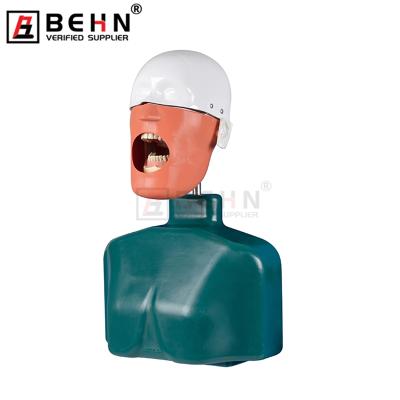 China Difficulty on Training Phantom Head Model Implant Head Of Physical Product Desktop Manikin Phantom Head Dental Simulator Dental Education Manikins for sale