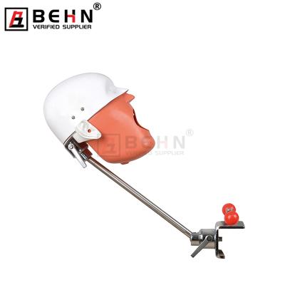 China Fix on Dental Manikin Phantom Head For Training Practice chair for school Phantom Head Dental Simulator Dental Oral Teaching for sale