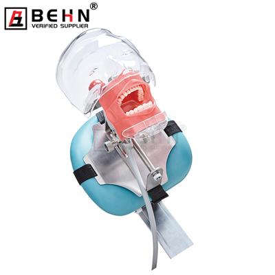 China Fix on Teeth Dental Manikin BEHN Chair Phantom Head Models for Dental Teaching Practice Learning Dentist Student Model for sale