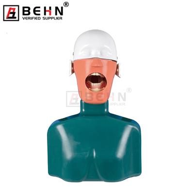 China Proctice Learn High Quality Dental Study / Head Model Dental Head Simulator With Shoulder Dental Model Teeth Phantom Head Model for sale