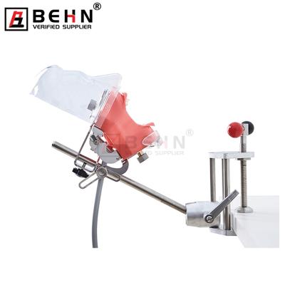 China Medical Science Simulator BEHN Dental Practicing Phantom Head Model For College Medicine Dental Office Students for sale