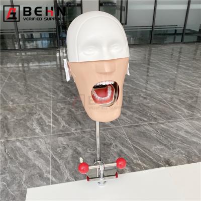 China Fix on BEHN Chair Dental Manikin Phantom Head For Training Practice For School Office Type Dental Manikin Phantom Head Dental Simulator Price for sale