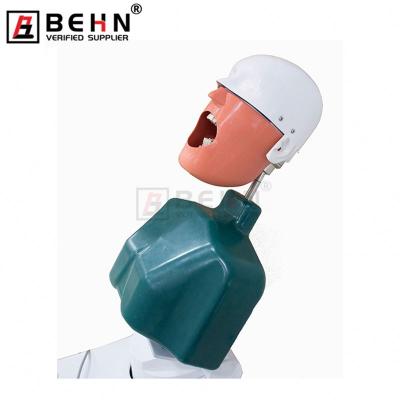 China Stainless Steel Phantom Head For Dental Education Phantom Head For Dental Teaching Dental Simulator Dental Manikin for sale