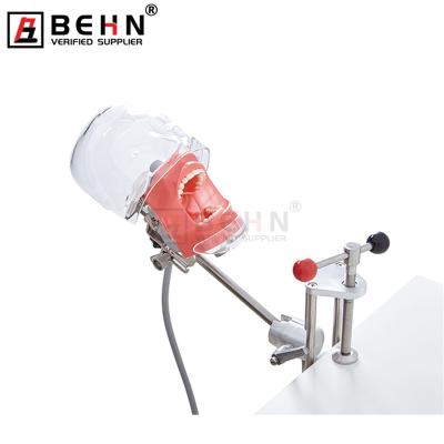 China Phantom Head Manikin Manikin For Training Practice Medical Science Manikin Phantom Head Simulator School College Dental Study And Training for sale