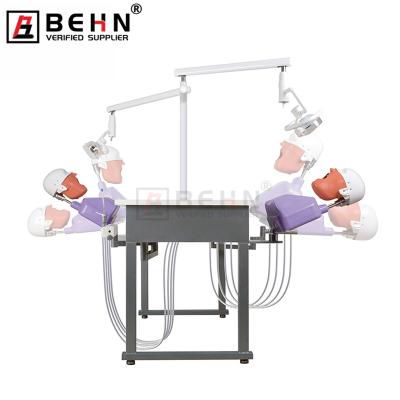 China BEHN Medical Science Simulator Phantom Head Manikin Typodont Medical Science Dental Training Model Simulator for sale