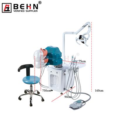 China BEHN Phantom Head Dental Simulator Manikin Phantom Head Dental Simulator For Dental Training Practice BG-A2 for sale