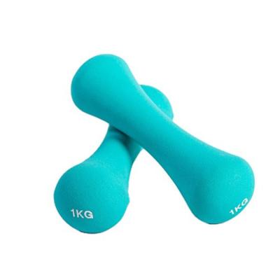 China Cast In A Factory Supply Accept Custom Soak-Plastics Gym Bone Shape Dumbbell Set for sale