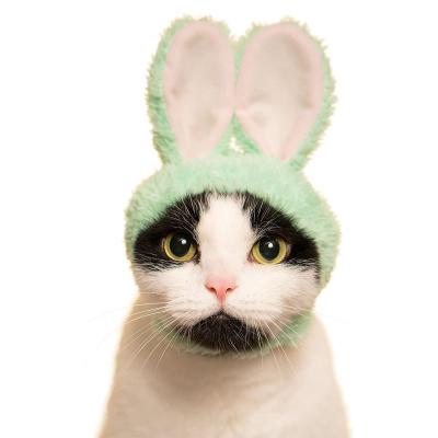 China Manufacturer Custom Party Birthday Viable Pet Cat Dog Hat Pet Cosplay Clothes Pet Cloth Props for sale