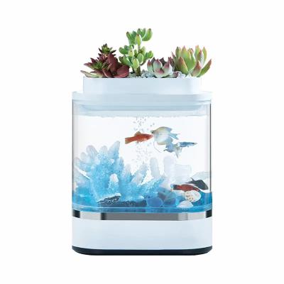 China New Style Sustainable Aquariums Sale Amphibious Ecological Chained Aquarium Fish for sale