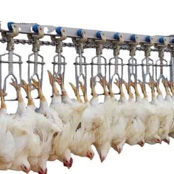 China Save Cost Chicken Slaughtering Equipment For Compact Poultry Slaughterhouse for sale