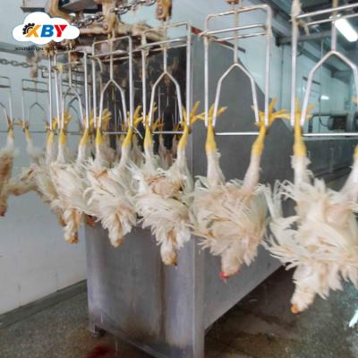 China Automatic POULTRY Chicken Slaughter Scalding Machine Chicken Slaughtering Scald Equipment for sale