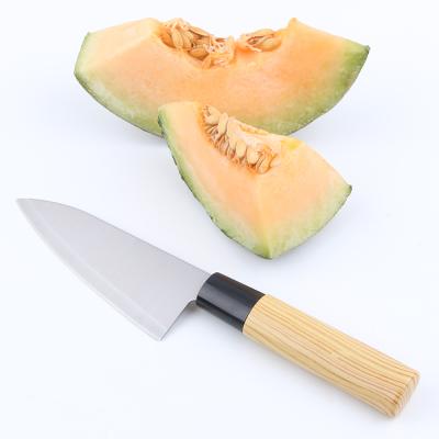 China Modern Hot Selling High Quality Sharp Kitchen Knife Stainless Steel Fruit Knife for sale