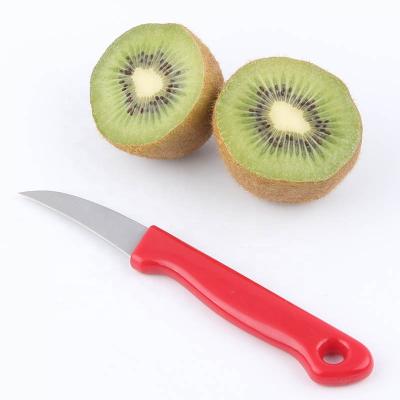 China Sustainable Factory Custom High Quality Kitchen Tools Stainless Steel Fruit Paring Knife With Plastic Handle for sale