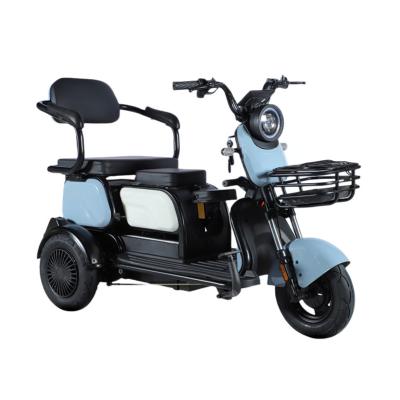 China Adult Electric Tricycle Motorized Cargo Electric Bicycle Three Wheel Electric Scooter Bike 3 Wheel Electric Motorcycle 48V Open for sale