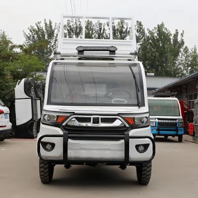 China Cargo box electric four-wheeler Picala cargo truck Closed box truck for sale