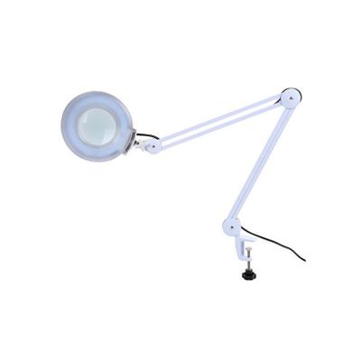 China Chinese Skin Revitalizer Products Magnifying Lamp Private Label Professional Skin Care Device for sale