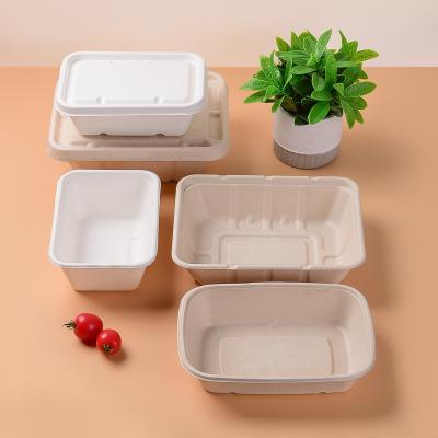 China 30-Day Return Policy Bagasse Box for Sugarcane Food Container Take Away Lunch Packaging for sale