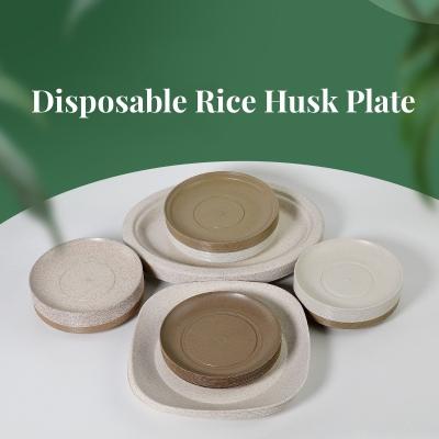 China 43cm*33cm*33cm Package Size Disposable Tableware Made from Eco-friendly Rice Husk for sale