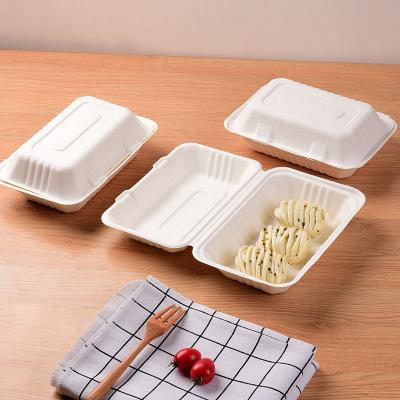 China Eco-Friendly Disposable Packaging Boxes for Multi Color Biodegradable Fruits and Eggs for sale