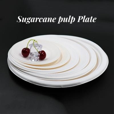 China US Biodegradable Sugarcane Bagasse Tableware Plate Carry-out Tableware Multi Color for sale