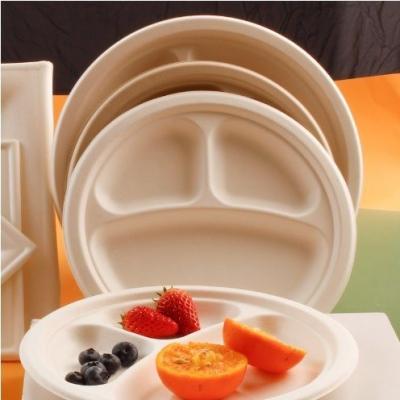 China Initial Payment Eco-Friendly Disposable Plate for Custom Printed Compostable Paper Tray for sale