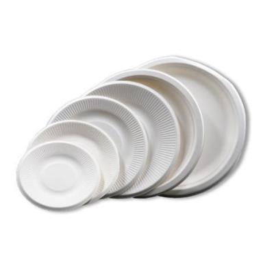 China Customization Sugar Cane Biodegradable Disposable Bagasse Round Paper Plates Tableware for sale