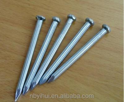 China Galvanized Steel Supply Concrete Nails Factory for sale