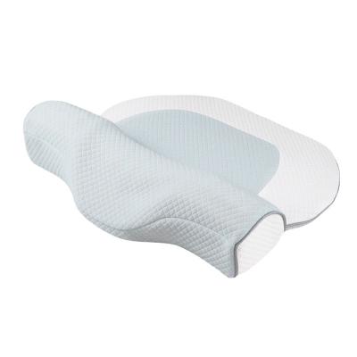 China Wholesale Anti Static Design Anti Static Memory Foam Home Cervical Bed Pillow for sale