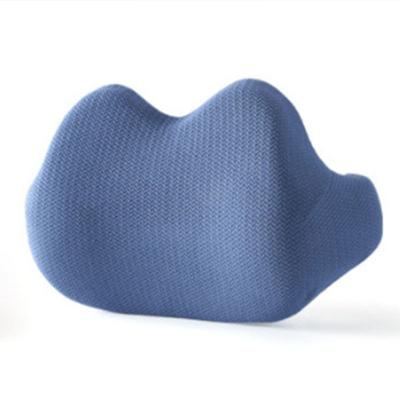 China Anti-Static Lumbar Support Memory Foam Pillow Headrest Pillow For Office Chair Back Cushions for sale