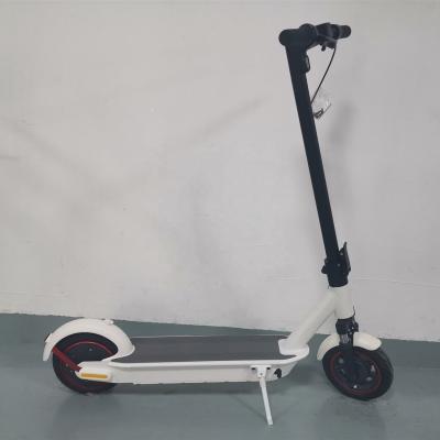 China Wholesale Price 1000W Unisex Smart Electric Scooter 10 Inch L6 e Scooters App Control With Phone Holder for sale