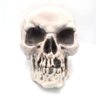 China Artificial Halloween Life Size Replica Realistic Human Skull 1# Plastic Skull Head for sale