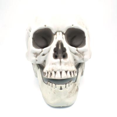 China Artificial Halloween Prank Decoration Scary Ghost Plastic Skull Head 2# Skeleton Head for sale