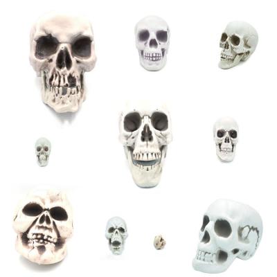 China Event & Party Supplies 10 Specifications Halloween Skeleton Life Sized Plastic Skulls Plastic Skull Head for sale