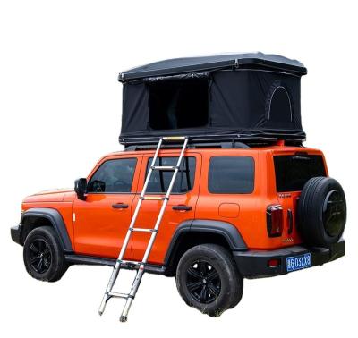 China Extended Type Auto Outdoor Self Propelled Tour Camper Roof Top Tent Double Person Free Build SUV Tents for sale