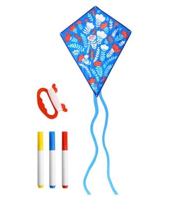 China China fun rainbow cartoon flying kite color outdoor paint kite diy custom kites for sale