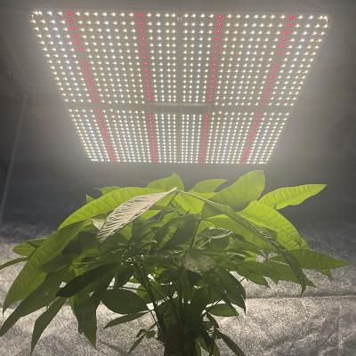 China Seed starting best newcomer hydroponic growing systems pvisung lm301h strip led light plant growing led pvisung lm301h for sale