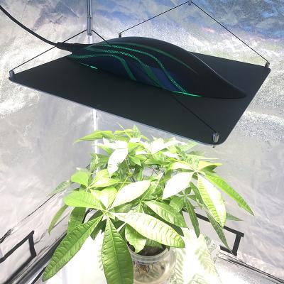 China Seed starting greens pot cultivation bonsai clone leafy seedlings led grow panel led to grow light pvisung diode par to grow light waterproof for sale