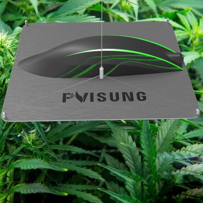 China Seed Starting Dimming Quantum Full Spectrum Cultivation 320 Watt Led Grow Light Quantum Led To Grow Light for sale