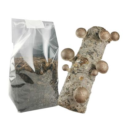 China Good Price Disposable Mushroom Grow Bags For Sprinkling Culture Plastic Bags With Filter for sale