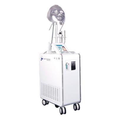 China Skin Tightening AYJ-Y80(CE) RF Facial Care Oxygen Therapy Facial Machine For Skin Scalp Facial Massage Cleaning Treatment for sale