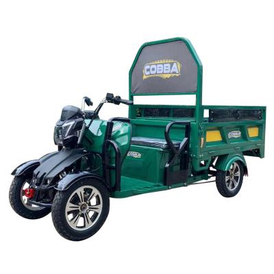 China 60V 1000W motor four wheel electric cargo tricycle, suitable for warehouse and farm use for sale