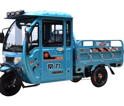 China Carry cargo farm USES electric tricycle dump truck to transport goods for sale