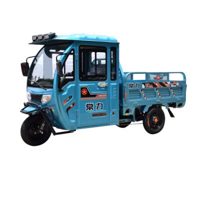 China Carry cargo van truck cargo tricycle hot sale adult electric tricycle cabin included for sale