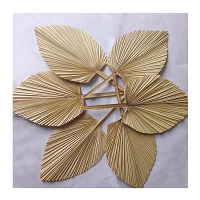 China Natural Touch Decorative Treated Dried Palm Leaves Dry Bleached Fan Leaf For Home Wedding Flower Decoration for sale