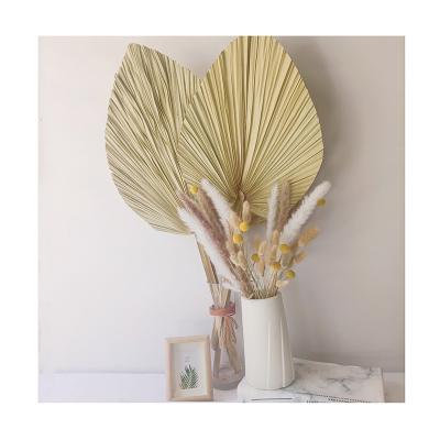 China 2021 Hot Selling Natural Touch Artificial Treated Palm Leaves Dry Fan Leaf Wedding Decoration Flower for sale