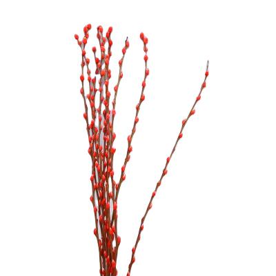 China Wholesale Natural Dried Wedding Flowers Willow For Interior Events Decoration Silver Decoration for sale