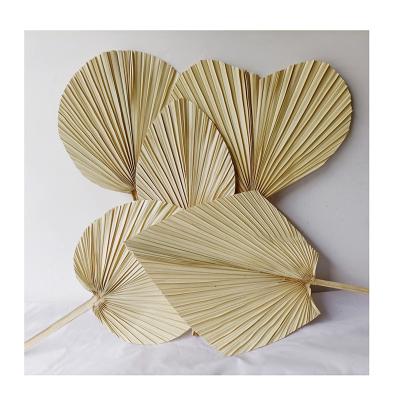 China 2021 hot sale Yunnan natural touch cheap dried flower dried bleached palm leaves for wedding decoration for sale