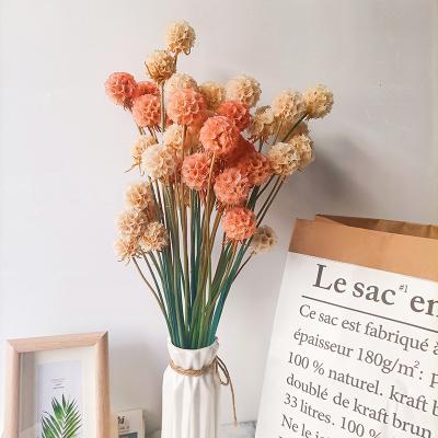 China Baiyue Central Statistical Style Flower Factory Direct Supply Preserved Flower Durable Hot Decorative Scadious Soft Scadious for sale